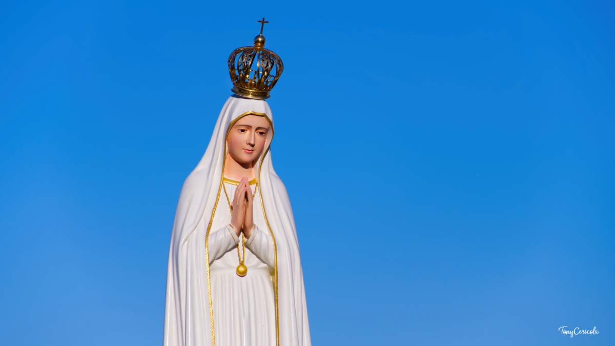 Tra emozioni e fede: l'acccoglienza dell'effige della Madonna di Fatima ...