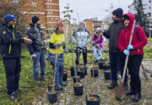 Più Alberi - Campobasso