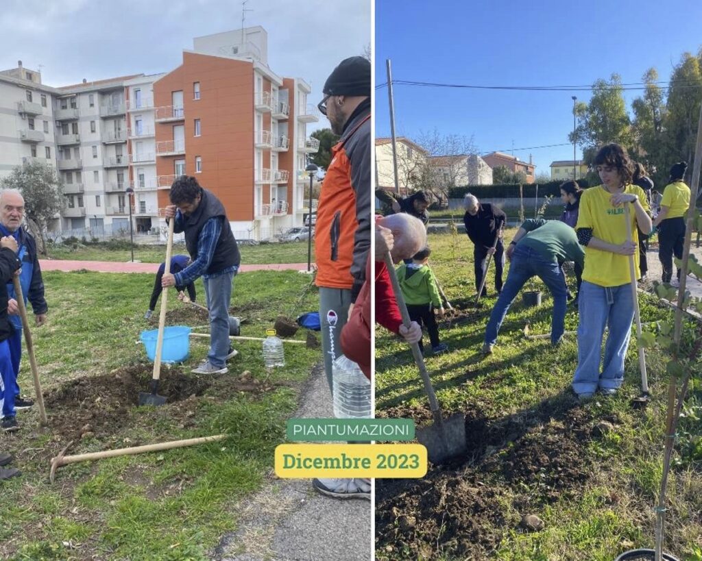 Giardino di via Maratona senza alberi - 06-piantumazioni