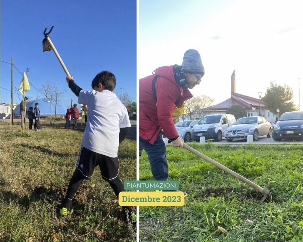 Giardino di via Maratona senza alberi - 06-piantumazioni