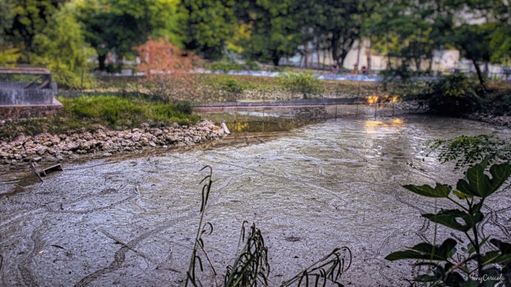 Laghetto del Parco Comunale di Termoli