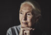 Commemorazione di Jane Goodall a Roma il 25 novembre: un evento per onorare la sua eredità La dottoressa Jane Goodall, fondatrice del Jane Goodall Institute