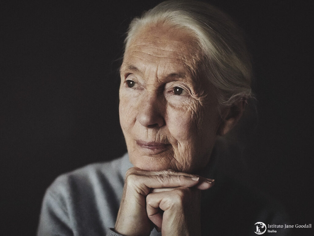 La dottoressa Jane Goodall, fondatrice del Jane Goodall Institute