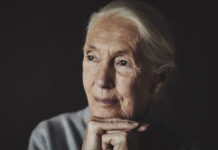 Commemorazione di Jane Goodall a Roma il 25 novembre: un evento per onorare la sua eredità La dottoressa Jane Goodall, fondatrice del Jane Goodall Institute