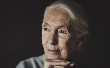 La dottoressa Jane Goodall, fondatrice del Jane Goodall Institute