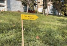 Termoli, il Comitato Più Alberi ripristina 30 alberi nel parco comunale
