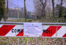 Emergenza-Cinghiali-Parco-Comunale-Termoli