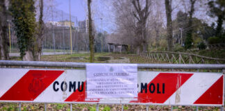 Emergenza-Cinghiali-Parco-Comunale-Termoli