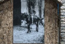 “Per il Bene”: l’Arma dei Carabinieri raccontata al Castello Svevo di Termoli