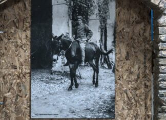 “Per il Bene”: l’Arma dei Carabinieri raccontata al Castello Svevo di Termoli