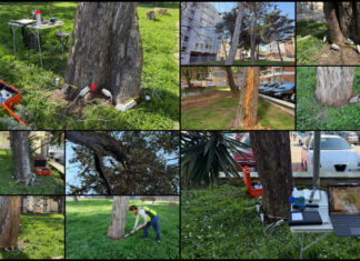 Termoli, alberi malati in via Polonia e via Inghilterra: Comune avvia verifiche con tomografo sonico Termoli, i rilievi con il tomografo sonico e il dendrodensimetro, strumenti in grado di fornire una diagnosi approfondita dello stato interno del legno senza arrecare danni agli alberi.
