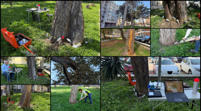 Termoli, i rilievi con il tomografo sonico e il dendrodensimetro, strumenti in grado di fornire una diagnosi approfondita dello stato interno del legno senza arrecare danni agli alberi.