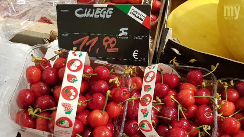 Ciliege2019