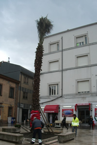 La nuova Palma