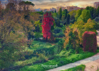 Giornata Nazionale dell’Albero: a dimora 330 nuovi alberi Parco Comunale Termoli