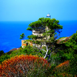 Il Faro di San Domino (foto C.L.Smoke)