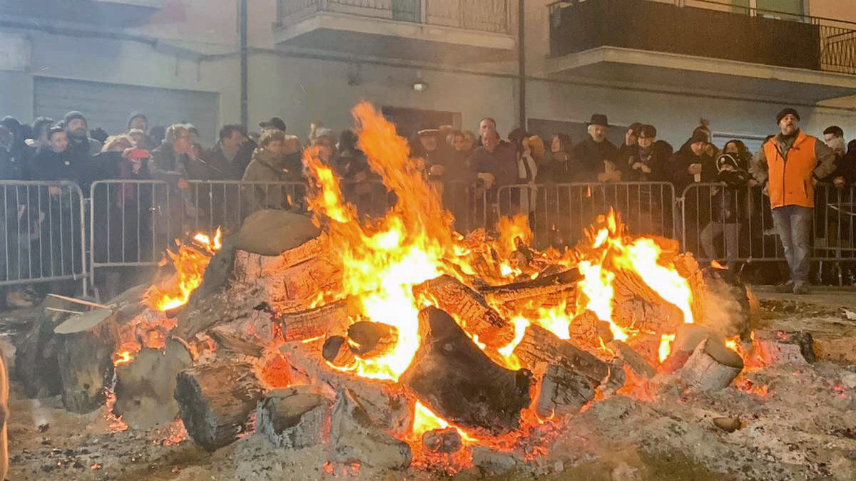 Festività Sant'Antonio Abate 2023 myNews Termoli e Molise Festività Sant'Antonio Abate 2023 myNews Termoli e Molise