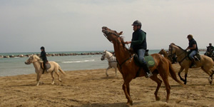 Cavalli in spiaggia